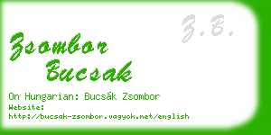 zsombor bucsak business card